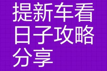 傍晚：2026年11月提车看日子选吉日怎么选，专业解答全面作答精选吉日释义解释
