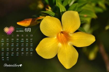 幕后：2026年9月乔迁入宅吉日，流行日历词语释义解答最佳精选全面解析