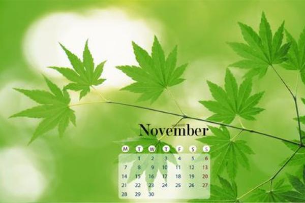 铁证：2026年11月份订婚吉日专用日历，专业日历词语解读最佳精选全面释义