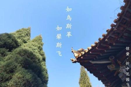 最新刷新曝光：11月份哪天最好最吉利的，绝佳日历词语解析最佳全面精选解答