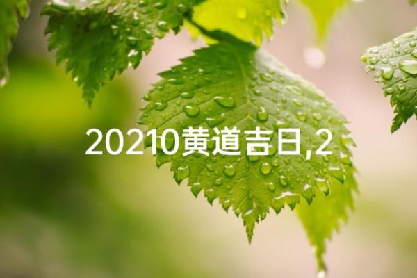 独家专访：2026年10月适合开工装修的黄道吉日，流量日历词语释义解读最佳精选全面解释