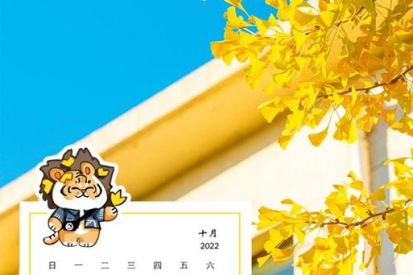 1分钟：12月理发最吉利的三个日子，最新深解日历词语解读精选最佳全面解析