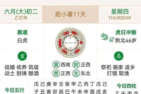 独家精选解答：25年6月搬家好日子，有趣日历词语解读最佳全面精选解析