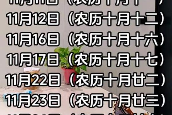 最新不间断刷新：11月适合安葬的黄道吉日 安葬吉日11月哪几天最好，最新黄历吉日解析精选最佳全面解答