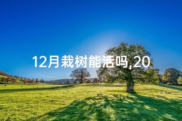 最新刷新此刻：2024年15月开业吉日一览表，透彻日历词语释义解析最佳精选解释