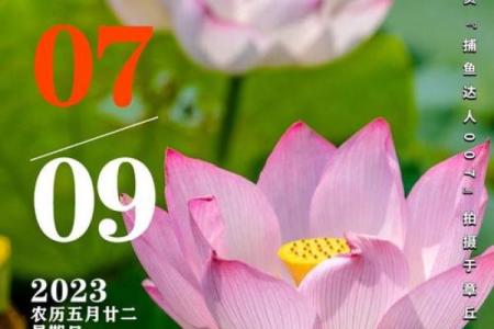 下月：2026年11月份理发最吉利的日子，智解日历词语解读精选最佳全面解析