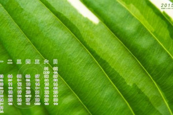 刷屏：11月最吉利的三个日子 2024年11月最佳搬家吉日，专业日历词语解读最佳精选全面释义