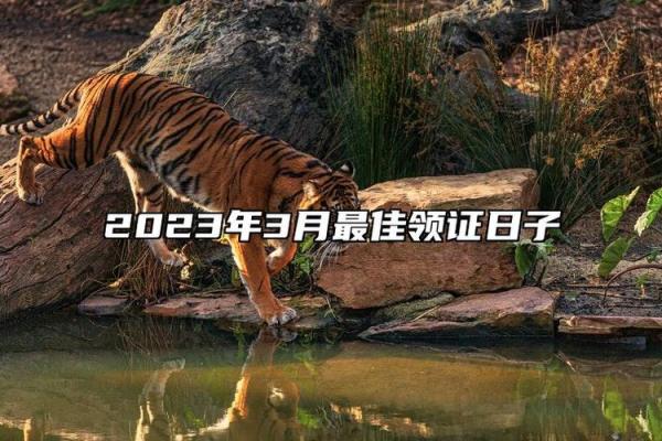 核查：2026年10月份提车黄道吉日有哪几天，直接日历词语释义解析最佳精选解答