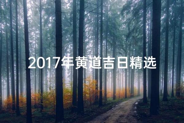 最新：2026年12月剖腹产吉日，最佳时间推荐，深度解析日历词语含义最佳精选释义解释