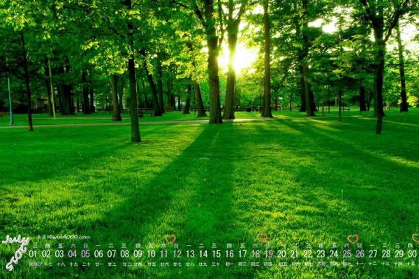 首发消息：2026年9月破土最吉利日子，高清日历词语释义最佳精选全面解答