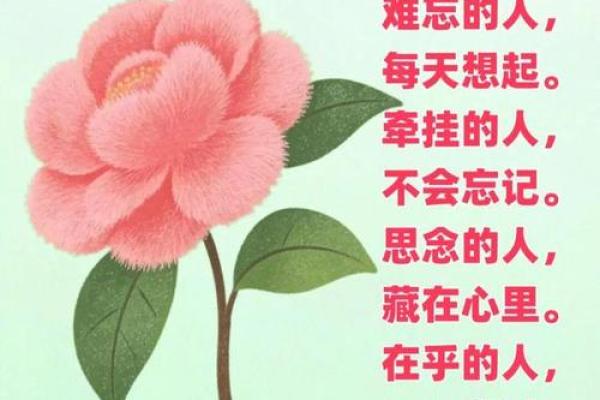 最新刷新持续更新：11月理发最吉利的三个日子，生动日历词语解读最佳精选全面释义