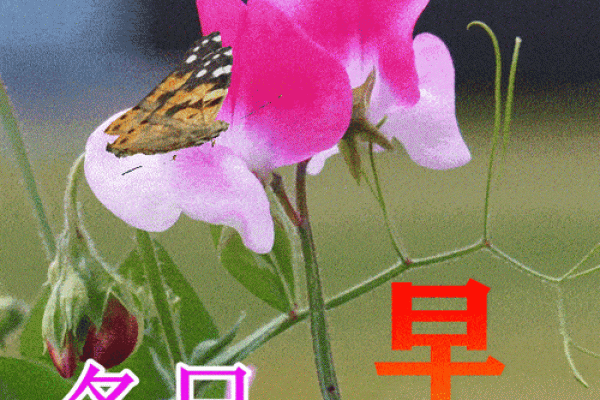 最新跟进：2026年10月乔迁新居的好日子，终极日历词语解读最佳精选全面解析