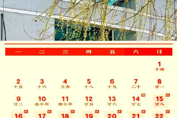 最新刷新即时更新：2026年11月份嫁娶最吉利的日子，完整解读含义日历词语释义最佳黄历剖析精选