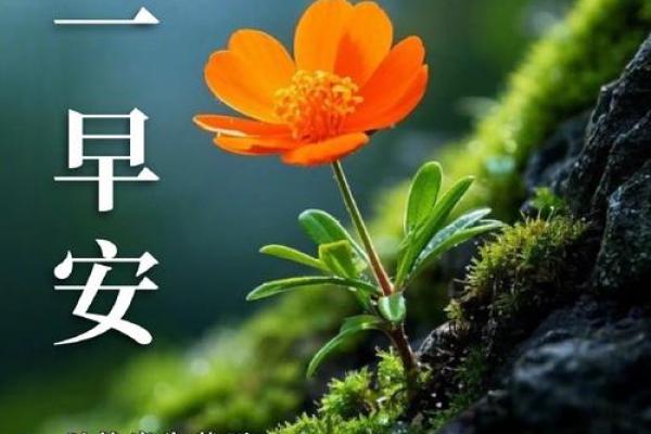 汇总：2026年10月开光最吉利日子，卓越日历词语解析最佳全面精选释义