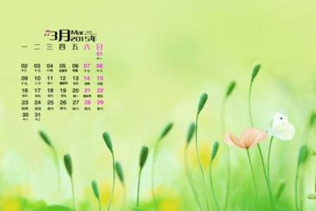 首曝：2026年11月装修选日子黄道吉日，褒义词日历词语释义解析最佳精选全面解答