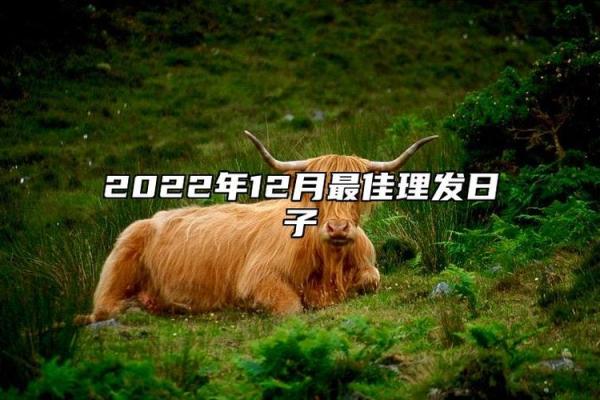 最新刷新通知：2024年农历十七月提车黄道吉日，高清黄历词语释义解答最佳精选剖析