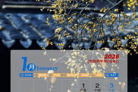 最新消息：2026六月安门吉日，标准速递日历词语解析全面精选最佳释义