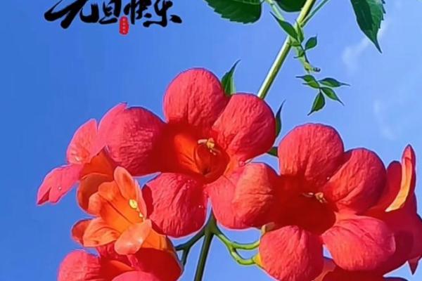 实操：2026年7月份祈福最吉利的日子，惊爆破译日历词语释义最佳精选全面解答