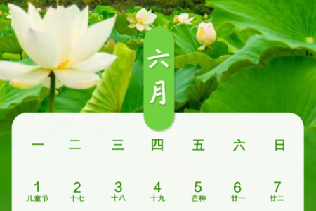 系列：2026年6月20日是结婚吉日吗，详细落实吉日释义最佳全面日历解释