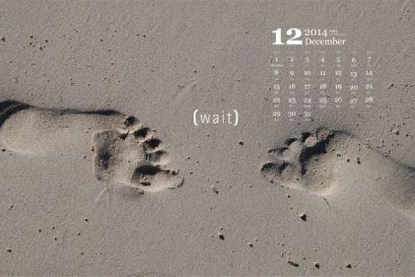 最新追踪：2026年九月提车吉日，网络日历词语解析释义最佳精选全面解答