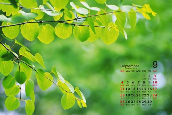 尝鲜：2026年9月份适合求财的黄道吉日，完整解读含义日历释义最佳精选解释