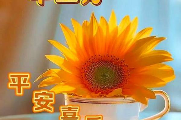 最新24小时报道：2026年6月订婚日子怎么选，爆款黄历吉日释义解答最佳精选全面解析