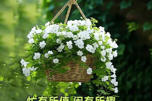 最新刷新深夜：2026年5月抛妇产入宅最好吉日，高效最佳精选日历吉日释义全面作答