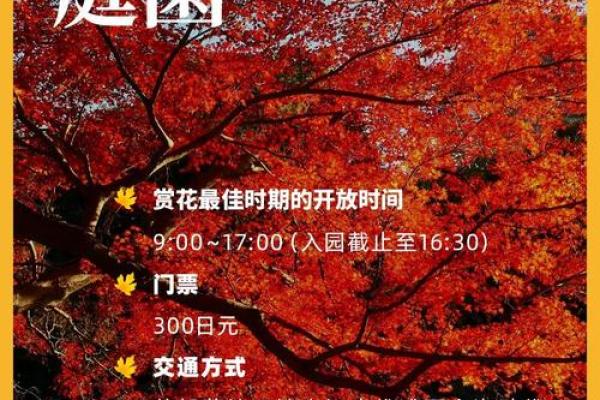 速报：2026年7月黄道吉日查询装修开工，满分日历词语释义全面精选最佳解析