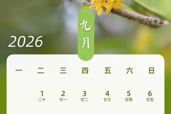 48小时内：2026年6月安门最佳时间表，精选快答落实最佳全面日历释义解析