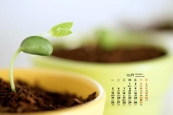 此分钟：2026年7月破土最佳时间表，完美日历词语释义解答全面精选最佳
