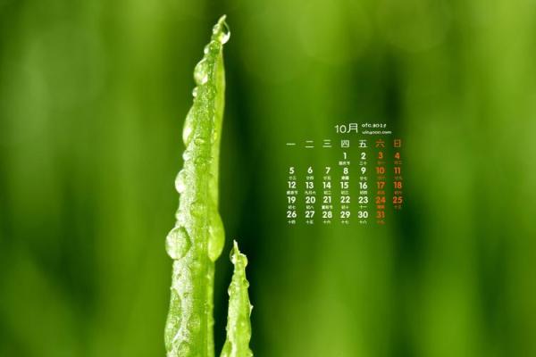 此分钟：2026年7月破土最佳时间表，完美日历词语释义解答全面精选最佳