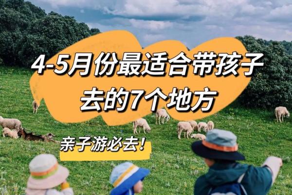 72小时追踪：2026.5月理发最旺的日子，独家揭秘日历词语释义最佳全面精选解释