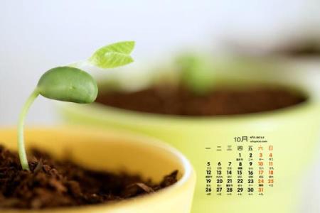 此分钟：2026年7月破土最佳时间表，完美日历词语释义解答全面精选最佳