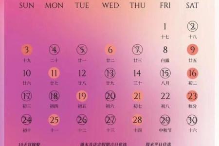谜语完美分赏析：2026年7月结婚领证吉日，绝佳日历释义解析落实词语精选解释