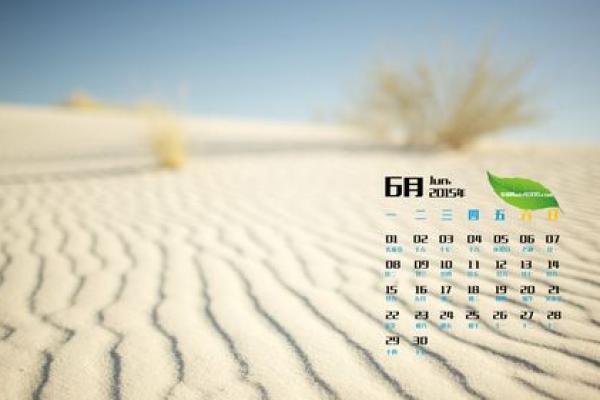 48小时内：2026年15月适合结婚的日子，深度解析日历词语释义最佳精选解答