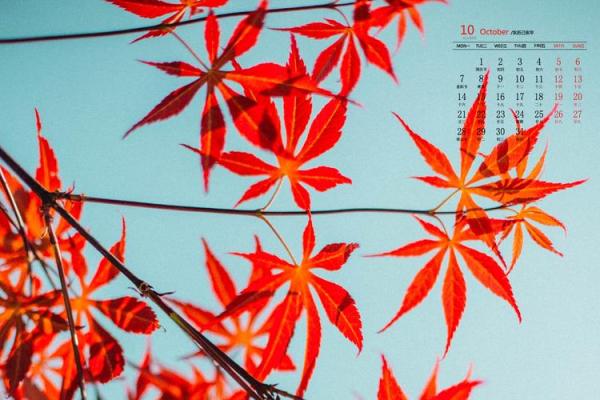 最新刷新分秒更新：2026年10月份安床吉日专用日历，最新日历词语解析最佳精选全面释义