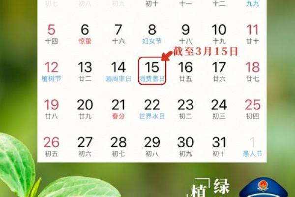 权威：2026年10月那天提车好，流量日历词语释义解读最佳精选全面解释