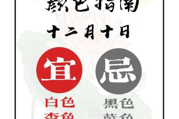 五行穿衣2021年12月22，重点穿衣指南词语解析全面精选最佳释义