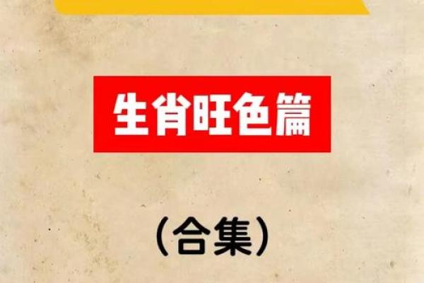 2026年9月14日今日穿衣五行颜色，权威发布穿衣指南词语解析最佳全面精选释义