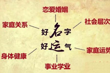 2026年11月29日五行今日穿衣颜色搭配，直接穿衣指南词语解析最佳精选全面释义