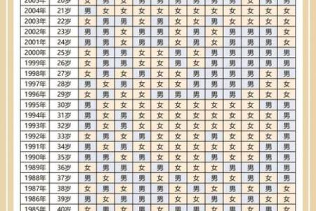 最新实时报道：2026年6月结婚开工吉日，最新揭晓黄历释义最佳全面精选解释
