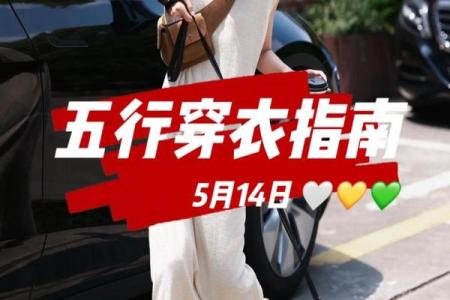 五行穿衣11月19，高效穿衣指南词语解析最佳全面精选解读