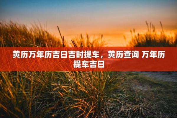 全天更新：2024年18月提车吉日一览表，最新日历词语释义落实最佳解释剖析