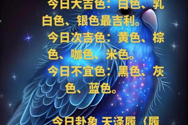 2026年10月16日今日穿衣指南五行颜色财运，完美穿衣指南词语释义解答全面精选最佳