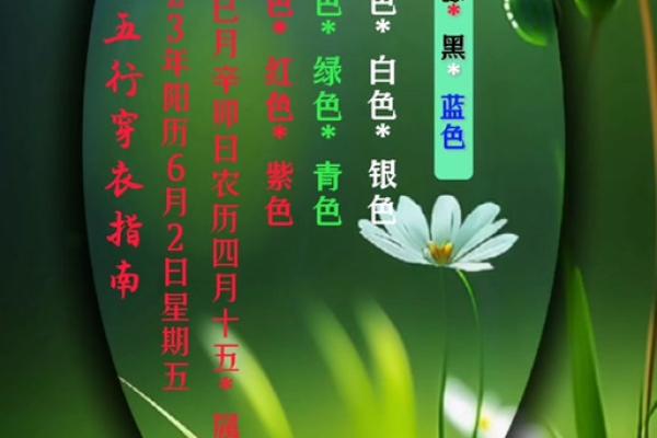 五行穿衣2023年1月23日，高效速递穿衣指南词语释义精选最佳全面解答