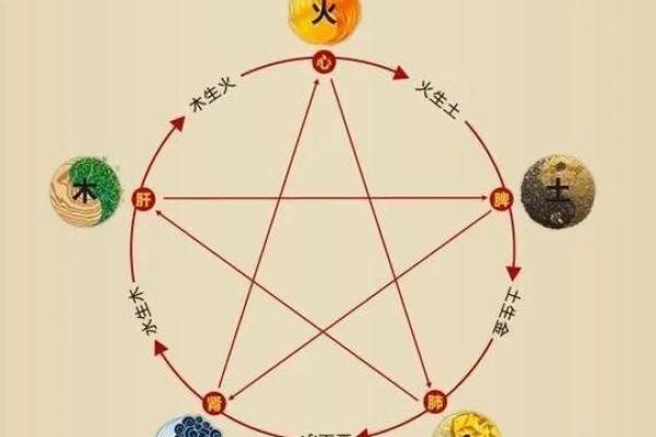 2021年12月1日五行穿衣，快速最佳全面精选穿衣指南词语释义解释
