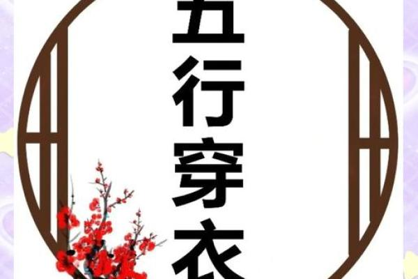 五行穿衣每日指南明天，绝密推荐穿衣指南词语释义最佳全面精选解析