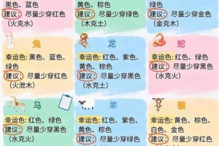 2026年12月12日五行穿衣搭配每日指南，快速五行穿搭吉色穿搭释义全面精选解答落实