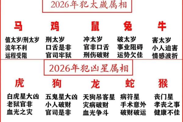 2026年9月6日五行穿衣搭配每日指南，流量穿衣指南词语释义解读最佳精选全面解释
