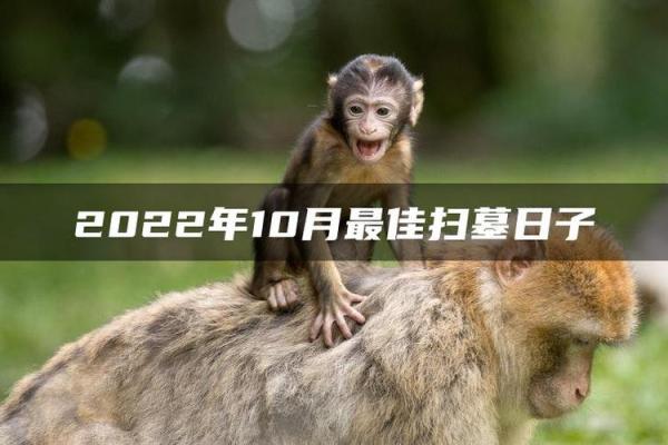 刷新：2026年6月结婚最佳黄道吉日，不可错过吉日释义解析最佳精选黄历剖析